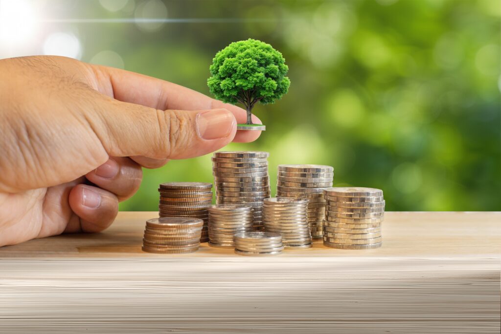 Insurance Investigation ROI Representation of tree growing on coins
